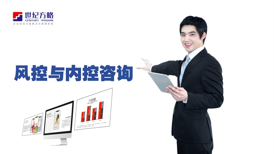 風(fēng)險與內(nèi)控咨詢